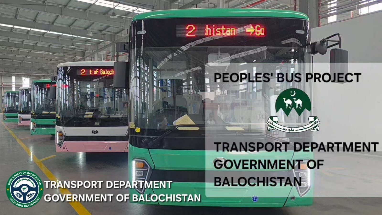 New Green and Pink Buses will be on road very soonsoon in Quetta and Turbat Committed to serve 